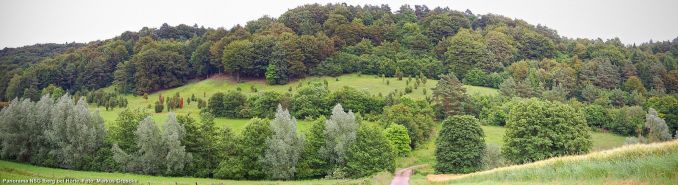 Panorama NSG Iberg bei Hörle